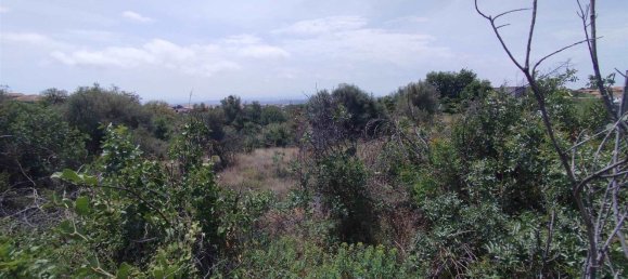 2800m² Land in Misterbianco, Italy No. 51233 14