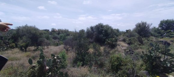 2800m² Land in Misterbianco, Italy No. 51233 6