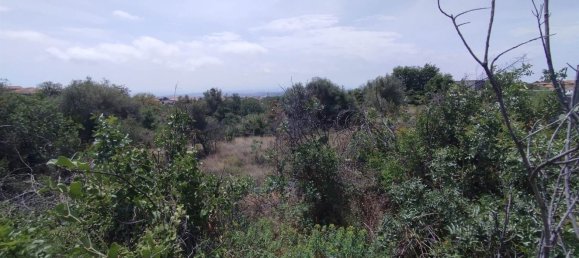 2800m² Land in Misterbianco, Italy No. 51233 27