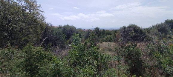 2800m² Land in Misterbianco, Italy No. 51233 11