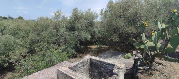 2800m² Land in Misterbianco, Italy No. 51233 3