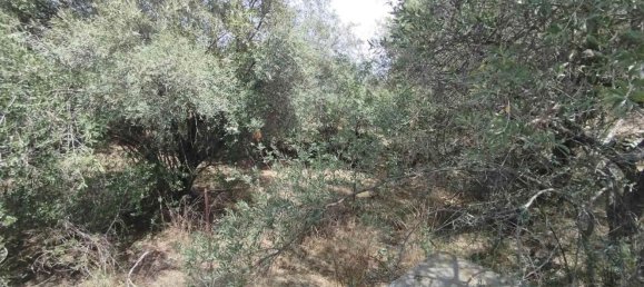2800m² Land in Misterbianco, Italy No. 51233 7