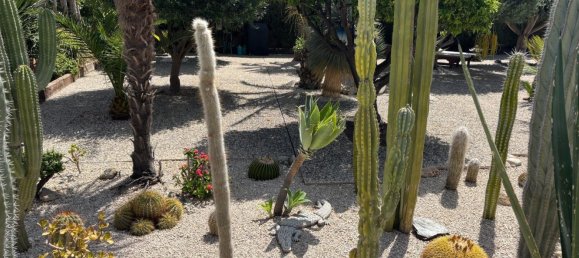 3 bedrooms House in Archena, Spain No. 158695 11