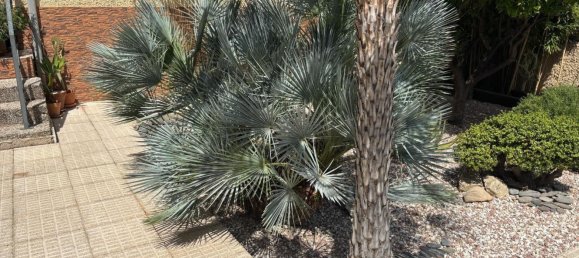 3 bedrooms House in Archena, Spain No. 158695 12