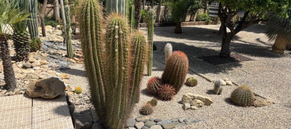 3 bedrooms House in Archena, Spain No. 158695 13