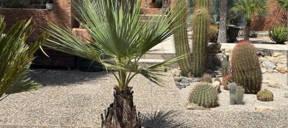 3 bedrooms House in Archena, Spain No. 158695 14