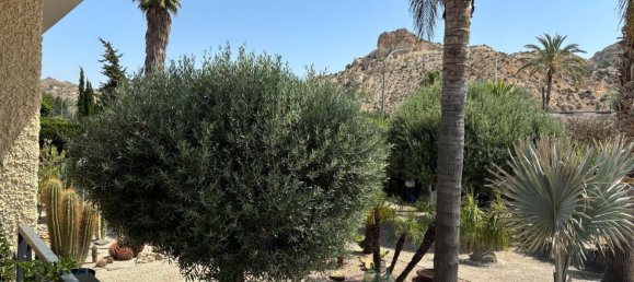 3 bedrooms House in Archena, Spain No. 158695 19