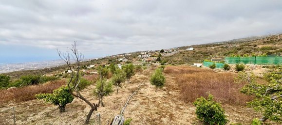  قطعة أرض في Fasnia, Spain 1711متر مربع رقم 163813 17