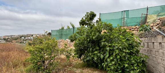  قطعة أرض في Fasnia, Spain 1711متر مربع رقم 163813 23