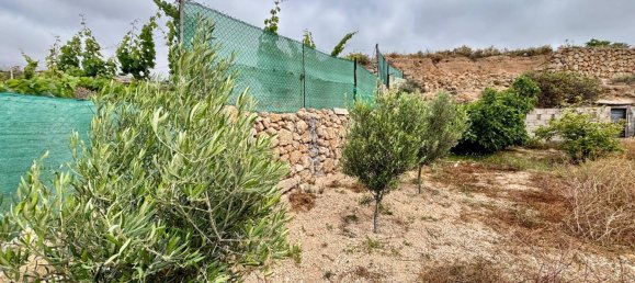  قطعة أرض في Fasnia, Spain 1711متر مربع رقم 163813 25