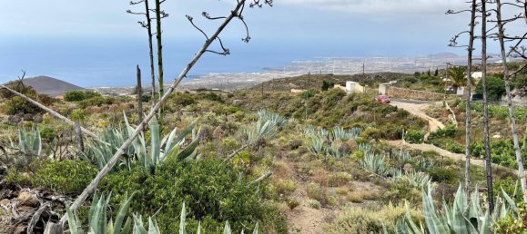  قطعة أرض في Fasnia, Spain 1711متر مربع رقم 163813 27