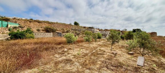  قطعة أرض في Fasnia, Spain 1711متر مربع رقم 163813 16