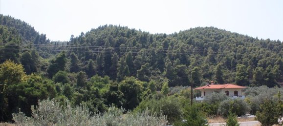 3 chambres Propriété commerciale à Chalkidiki, Greece No. 8107 15