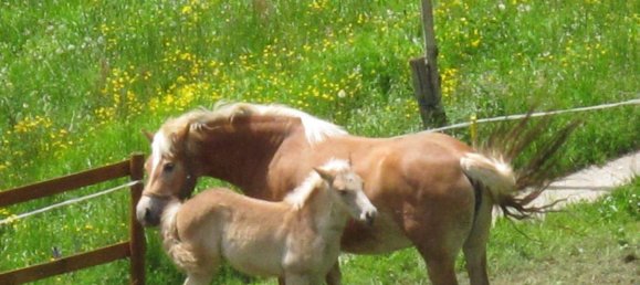 Villa de 5 divisões em Bossico, Italy N.º 157819 38