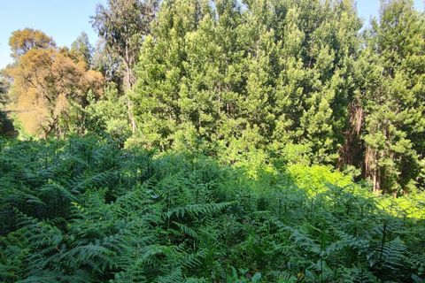  Land in Vila Nova de Gaia, Portugal No. 264100