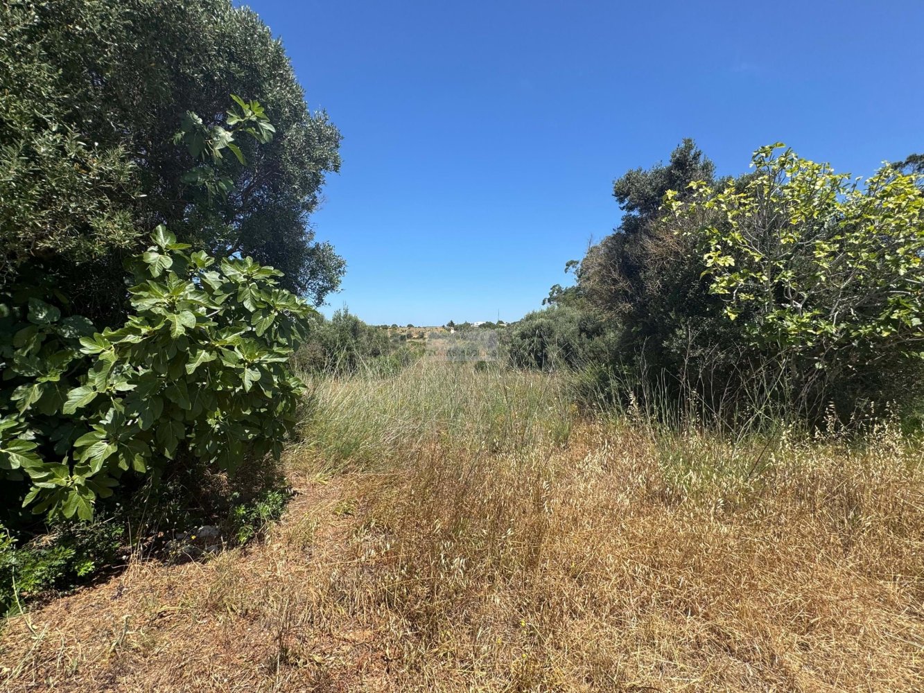 13000m² Land in Lagos, Portugal No. 205330