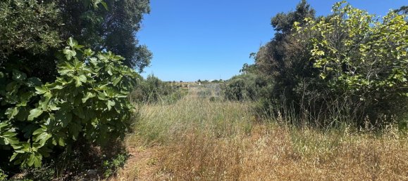 Grundstück in Lagos, Portugal 13000m², Nr. 205330 4