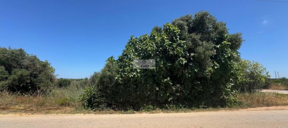 Grundstück in Lagos, Portugal 13000m², Nr. 205330 3