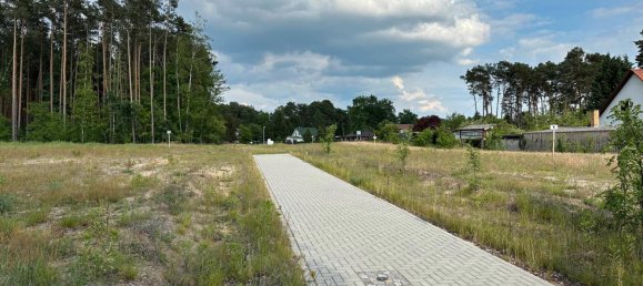  قطعة أرض في Oder-Spree, Germany رقم 87917 5