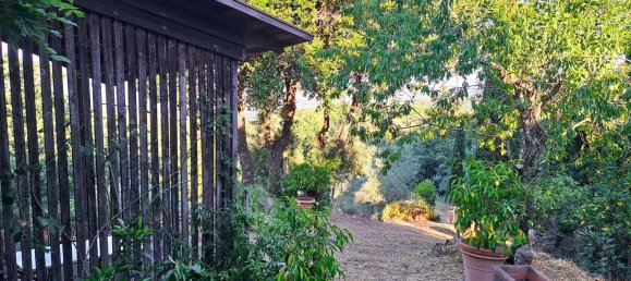 2 rooms House in Civitella Paganico, Italy No. 286648 30