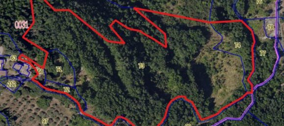 2 rooms House in Civitella Paganico, Italy No. 286648 34