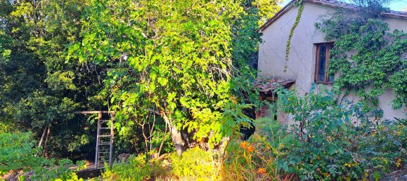 2 rooms House in Civitella Paganico, Italy No. 286648 5