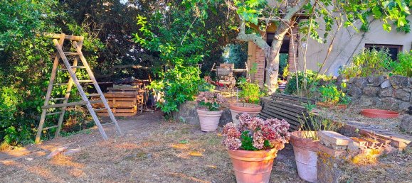 2 rooms House in Civitella Paganico, Italy No. 286648 6