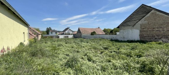 Terrain à Harmannsdorf, Austria 880m² No. 251468 4