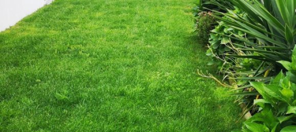 3 bedrooms House in Palmela, Portugal No. 141391 25