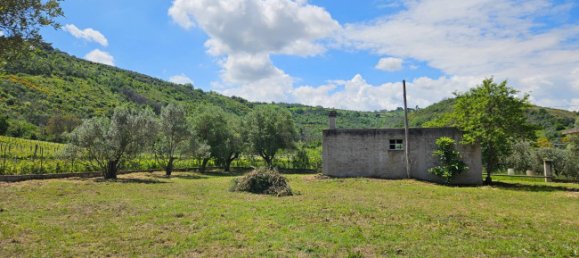 3 Schlafzimmer Haus in Controguerra, Italy, Nr. 266297 21