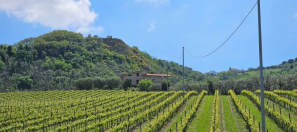 3 Schlafzimmer Haus in Controguerra, Italy, Nr. 266297 12