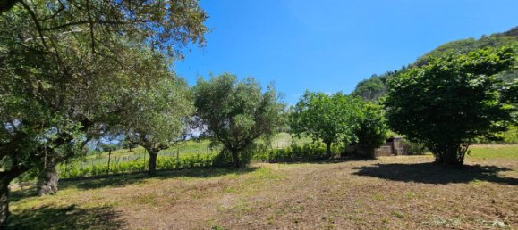 3 Schlafzimmer Haus in Controguerra, Italy, Nr. 266297 29