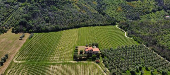 3 Schlafzimmer Haus in Controguerra, Italy, Nr. 266297 11
