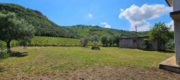 3 Schlafzimmer Haus in Controguerra, Italy, Nr. 266297 24