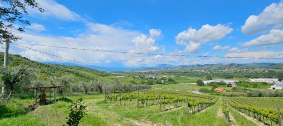 3 Schlafzimmer Haus in Controguerra, Italy, Nr. 266297 26