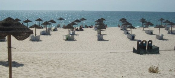 Grundstück in Grandola, Portugal 1200m², Nr. 115818 3