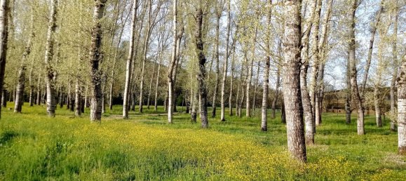 4 chambres Appartement à Florence, Italy No. 337019 20