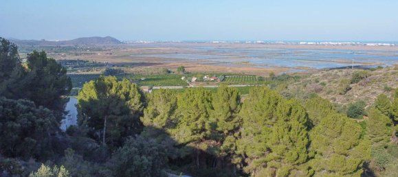 Terrain à Pego, Spain No. 134504 4