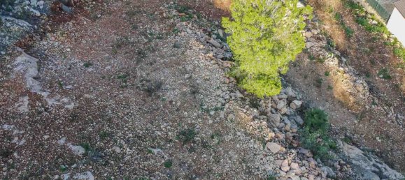 Terrain à Pego, Spain No. 134504 6