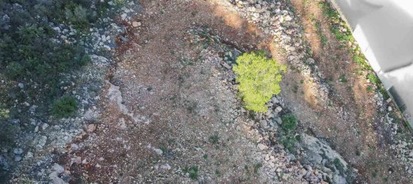 Terrain à Pego, Spain No. 134504 7