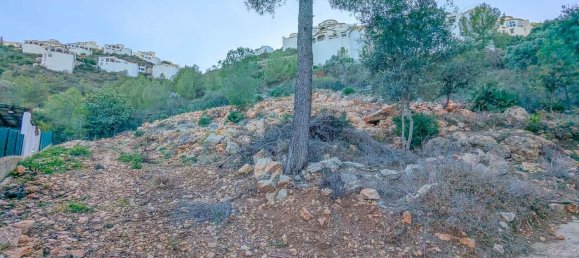 Terrain à Pego, Spain No. 134504 2