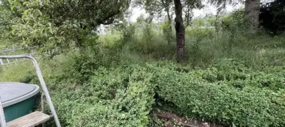 5 rooms House in Baden-Wurttemberg, Germany No. 18044 19