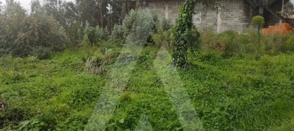 Grundstück in Aveiro, Portugal, Nr. 89430 4