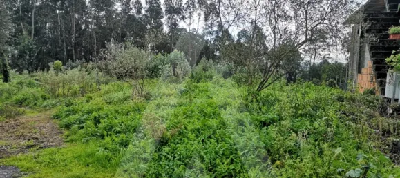 Grundstück in Aveiro, Portugal, Nr. 89430 2