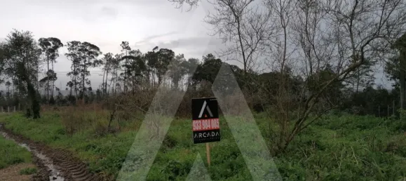 Grundstück in Aveiro, Portugal, Nr. 89430 8