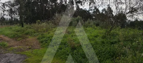 Grundstück in Aveiro, Portugal, Nr. 89430 3