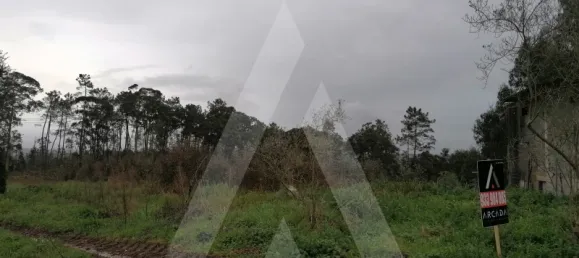 Grundstück in Aveiro, Portugal, Nr. 89430 6