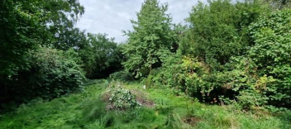 Land in Wandsbek, Germany No. 341635 7