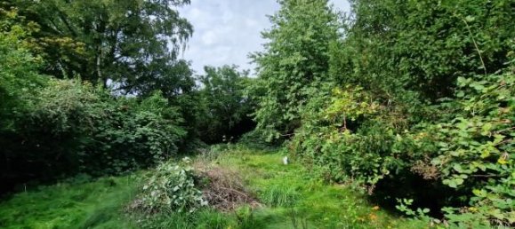 Land in Wandsbek, Germany No. 341635 5