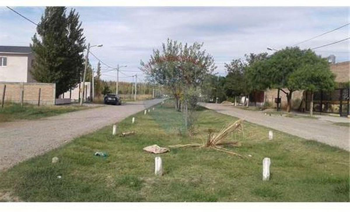 Terrain à Neuquen, Argentina No. 45544